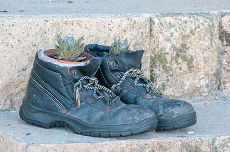 CAPE TOWN, SOUTH AFRICA - DECEMBER 15, 2014:  Planting pots - new use for old shoesのeditorial素材