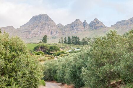 STELLENBOSCH SOUTH AFRICA  DECEMBER 21 2014: View of the farm Hidden Valley with the Helderberg Clear Mountain in the backのeditorial素材