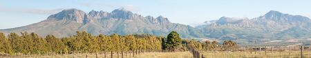 Panorama of the Helderberg Clear Mountain and HottentosHolland Mountains as seen from a farm near Sir Lowrys Passの写真素材