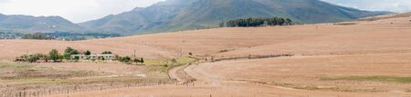 BOTRIVER SOUTH AFRICA  DECEMBER 25 2014: View accross a farm near Bot River in the Overberg region of the Western Capeのeditorial素材