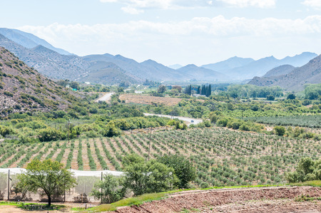 KREDOUW PASS SOUTH AFRICA  JANUARY 2 2015: View from the pass into the fertile Prince Albert Valley.のeditorial素材