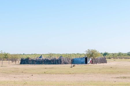 OWAMBOLAND, NAMIBIA - MAY 21, 2011: An Owambo farm in the Northern part of Namibia next to the road to Ruacanaのeditorial素材