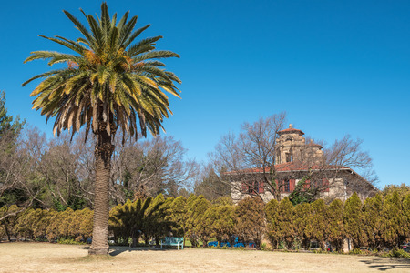 BLOEMFONTEIN, SOUTH AFRICA - JULY 19, 2015: Palm tree and a lonely bench next to the city hall in Bloemfontein. The building was built with sandstone and completed in 1895 and is a national monumentのeditorial素材