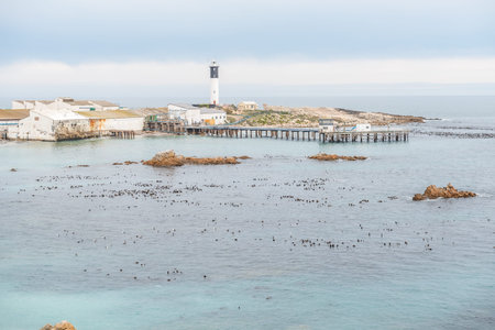DOORNBAAI, SOUTH AFRICA, AUGUST 12, 2015: The harbor at Doornbaai Thorn Bay on the Atlantic coast of South Africa. Wine tasting is offered at the pierのeditorial素材
