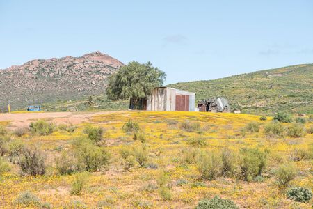 A Nama farm near Spoegrivier spit river in the Northern Cape Namaqualand region of South Africaの写真素材