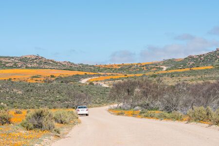SKILPAD, SOUTH AFRICA - AUGUST 19, 2015: The entry road to Skilpad in the Namaqua National Park in South Africaのeditorial素材