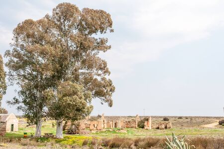 An old tree and ruins at Matjiesfontein farm near Nieuwoudtville in the Northern Cape Province of South Africaの写真素材