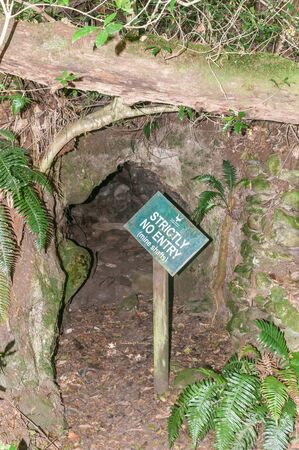 MILLWOOD, SOUTH AFRICA - MARCH 4, 2016: Historic mine shaft circa 1880 near Jubilee Creek, a picnic spot in the Knysna Forest near Millwoodのeditorial素材