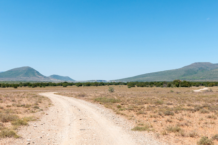 CAMDEBOO NATIONAL PARK, SOUTH AFRICA - MARCH 22, 2017: A road in the Cambdeboo National Park with the Nqweba dam and Graaff Reinet in the distanceのeditorial素材