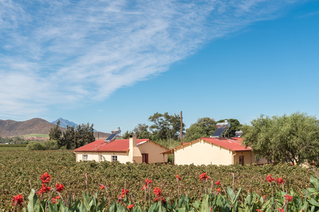 BONNIEVALE, SOUTH AFRICA - MARCH 26, 2017: Farm worker houses with solar geysers between vineyards near Bonnievale in the Western Cape Provinceのeditorial素材