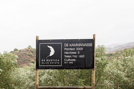 OUDE MURAGIE, SOUTH AFRICA - MARCH 24, 2017: Information board at an olive orchard next to the Oude...