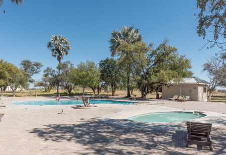 ETOSHA NATIONAL PARK, NAMIBIA - JUNE 21, 2017: an unidentified tourist at the swimming pools in the Namutoni Rest Camp in the Etosha National Park, Namibiaのeditorial素材