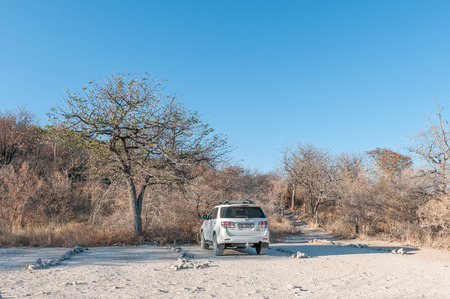 ETOSHA NATIONAL PARK, NAMIBIA - JUNE 22, 2017: The parking area and footpath leading to the Moringa Waterhole at the Halali Rest Camp in the Etosha National Park, Namibiaのeditorial素材