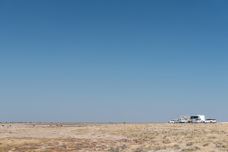 ETOSHA NATIONAL PARK, NAMIBIA - JUNE 24, 2017: Tourist vehicles at the Nebrownii waterhole in the Etosha National Park. A lioness is visible to the left of the vehiclesのeditorial素材