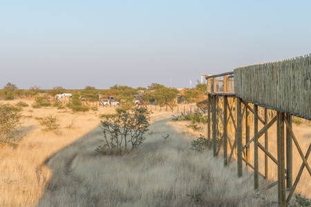 ETOSHA NATIONAL PARK, NAMIBIA - JUNE 26, 2017: View of the Olifantsrus Rest Camp in the Etosha National Park as seen from the upper level of the hide at the waterholeのeditorial素材
