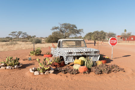 KOES - JULY 5, 2017: A display with an old pickup truck and succulents at the Moer Toe Coffee Shop in Koes, a small town in the Karas Region in Namibiaのeditorial素材