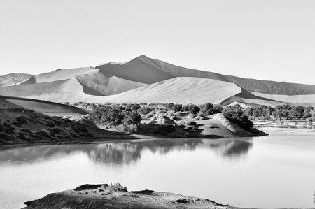 A rare sight: Sossusvlei in the Namib desert of Namibia filled with water. Big Daddy, one of the highest dunes in the world, is in the background. Monochromeの写真素材