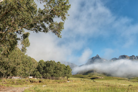 Garden Castle in the Drakensberg. Hermits Wood Camp Site is visible between the trees. Rhino Peak (3056m) is visible in the back behind fogの写真素材