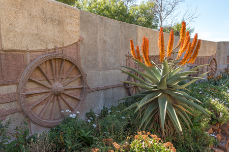 PRETORIA, SOUTH AFRICA, JULY 31, 2018: An aloe in the garden next to the laager of 64 granite ox-wagons which form the wall around the Voortrekker Monument in Pretoriaのeditorial素材