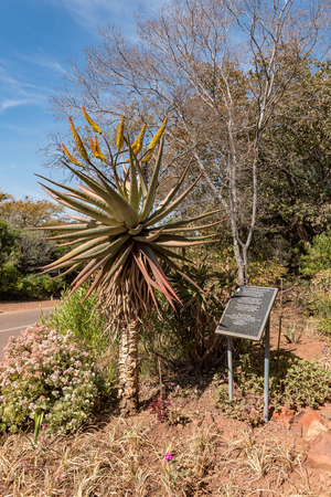 PRETORIA, SOUTH AFRICA, JULY 31, 2018: A granite plaque, showing a prayer song, next to an aloe at the Voortrekker Monument on Monument Hill in Pretoriaのeditorial素材