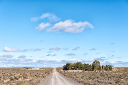 Farm landscape on road R356 between Loxton and Fraserburg in the Northern Cape Province. 11 water-pumping windmills are visibleの写真素材