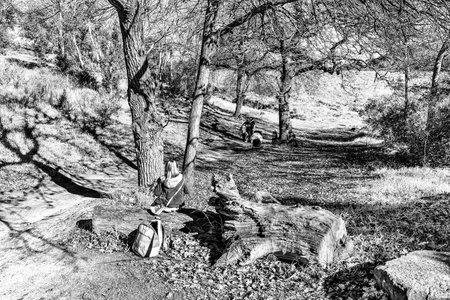 DURBANVILLE, SOUTH AFRICA, AUGUST 11, 2018: People are visible on a walking trail in Majik Forest in Durbanville in the Western Cape Province. Monochromeのeditorial素材