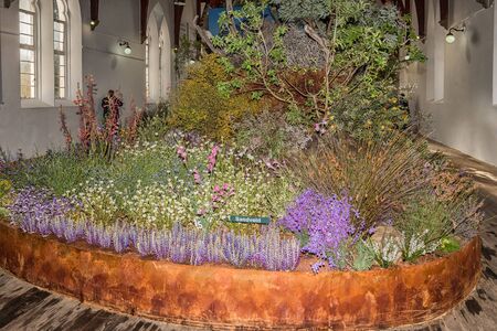 CLANWILLIAM, SOUTH AFRICA, AUGUST 28, 2018: The yearly wild flower show inside the historic first Dutch Reformed Church in Clanwilliam in the Western Cape Provinceのeditorial素材