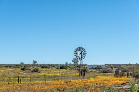 NIEUWOUDTSVILLE, SOUTH AFRICA, AUGUST 29, 2018: A farm landscape, with wildflowers and a barn, in Nieuwoudtville in the Northern Cape Provinceのeditorial素材