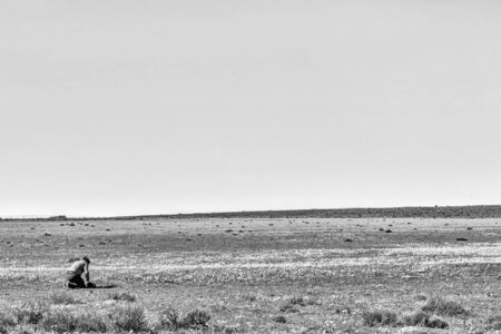 PAPKUILSFONTEIN, SOUTH AFRICA, AUGUST 28, 2018: A photographer in a field of wildflowers at Papkuilsfontein in the Northern Cape Province. Monochromeのeditorial素材