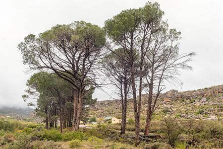 CEDERBERG, SOUTH AFRICA, AUGUST 27, 2018: The Kliphuis Campsite on the Pakhuis Pass in the Cederberg Mountains of the Western Cape Province. A vehicle and chalets are visibleのeditorial素材