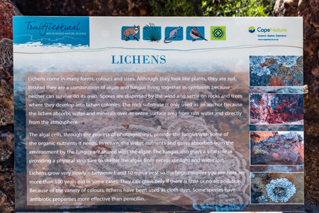TRUITJIESKRAAL, SOUTH AFRICA, AUGUST 24, 2018: A lichen information board at Truitjieskraal in the...