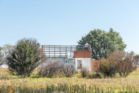 A landscape, with a ruin and trees, next to road R38 between Standerton and Bethal, in the...