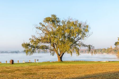 Camping sites next to the dam at Vrede in the Free State Provinceの写真素材