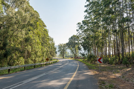 A road landscape on the Bothasnek Pass on road R38 between Badplaas and Barberton in the Mpumalanga...