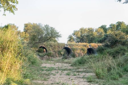 A bridge over the Mhlambanyathi River on road H4-1 near Skukuzaの写真素材