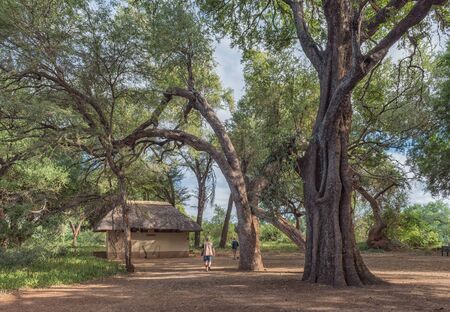 KRUGER NATIONAL PARK, SOUTH AFRICA - MAY 15, 2019: View of the Pafuri Picnic Site. People and a toilet building are visibleのeditorial素材