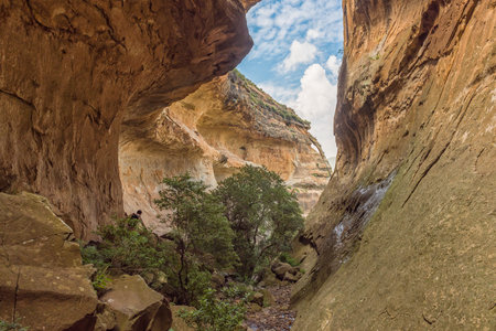 View of Echo Ravine, a sandstone gorge at Golden Gate in the Free State Provinceの写真素材