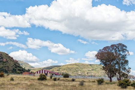 FOURIESBURG, SOUTH AFRICA - MARCH 18, 2020: The Farmer Auctioneers in Fouriesburg in the Free State Provinceのeditorial素材