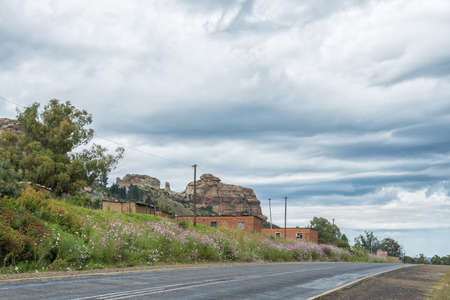FICKSBURG, SOUTH AFRICA - MARCH 20, 2020: Cosmos flowers and farm worker houses next to road R26 between Fouriesburg and Ficksburgのeditorial素材