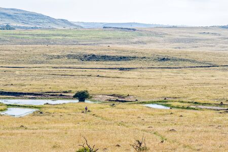 Hikers are visible on the Eland Hiking Trail at Eingedi near Ladybrandの写真素材