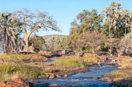 EPUPA, NAMIBIA - MAY 24, 2011: A woman washing a child in the Kunene River at the top of the Epupa waterfalls. Baobab and makalani trees are visibleのeditorial素材