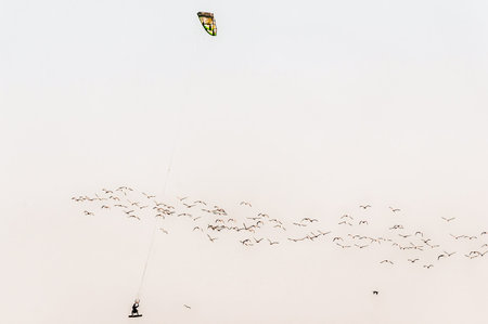 An airborne  windsurfer in the lagoon in Walvis Bay on the Atlantic Ocean coast of Namibia. A flock...