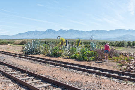 KLAAS VOOGDSRIVIER, SOUTH AFRICA - APRIL 8, 2021: Railroad tracks and an agave garden at Klaas Voogdsrivier station near Ashton in the Western Cape Province. One person is visibleのeditorial素材