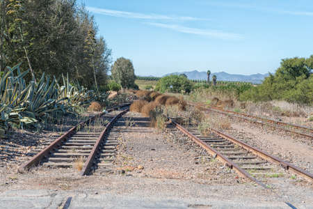 Unused railroad tracks at Klaas Voogdsrivier station near Ashton in the Western Cape Province. Agave plants are visibleの写真素材