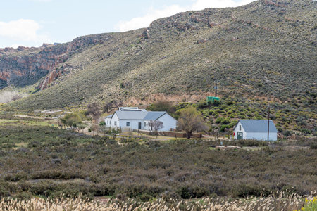 CEDERBERG, SOUTH AFRICA - SEP 4, 2022: Office buildings of Cape Nature at Matjiesrivier in the Western Cape Cederberg. Keurbosberg is visibleのeditorial素材