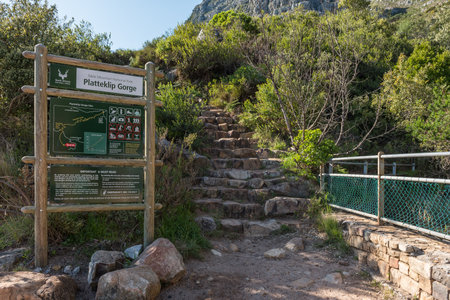 CAPE TOWN, SOUTH AFRICA - SEP 14, 2022: The start of the Platteklip Gorge hiking trail to the top of Table Mountain in Cape Townのeditorial素材