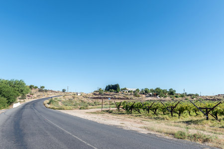 Kanoneiland, South Africa - Feb 25, 2023: A farm scene next to Kononeiland near Upington. Vineyards and Straussheim farm buildings are visibleのeditorial素材