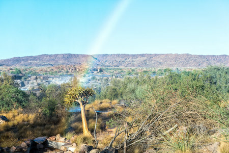 A rainbow cutting through a quiver tree at the Augrabies Falls National Parkの写真素材