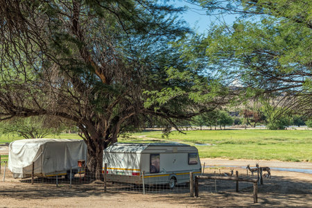 Boegoeberg Dam, South Africa - Feb 28 2023: Caravans and springbok in the shade at the partially flooded holiday resort at Boegoeberg Damのeditorial素材