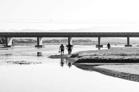 Sunrise view of the lagoon at Uilenkraalsmond. The bridge on road R43 over the river and bait collectors are visible. Monochromeの写真素材